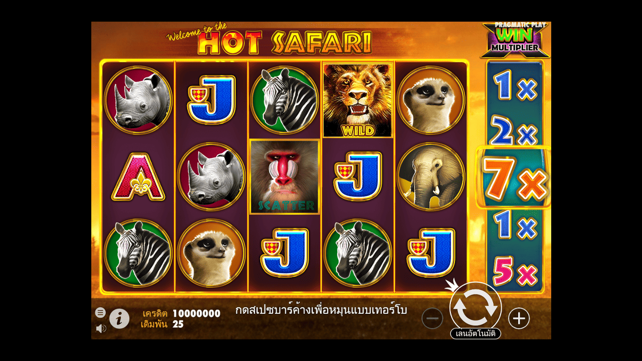 Hot Safari