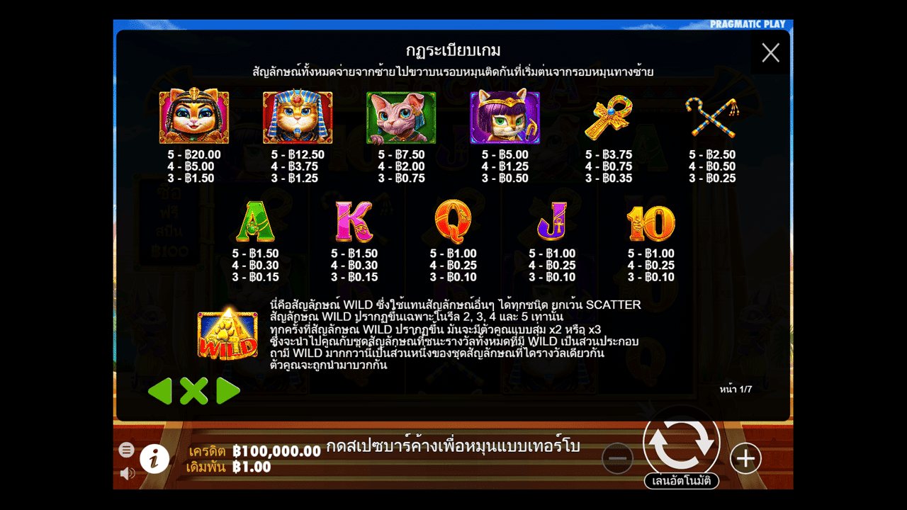 Paytable - Features